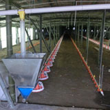 Poultry Farm Equipment Case